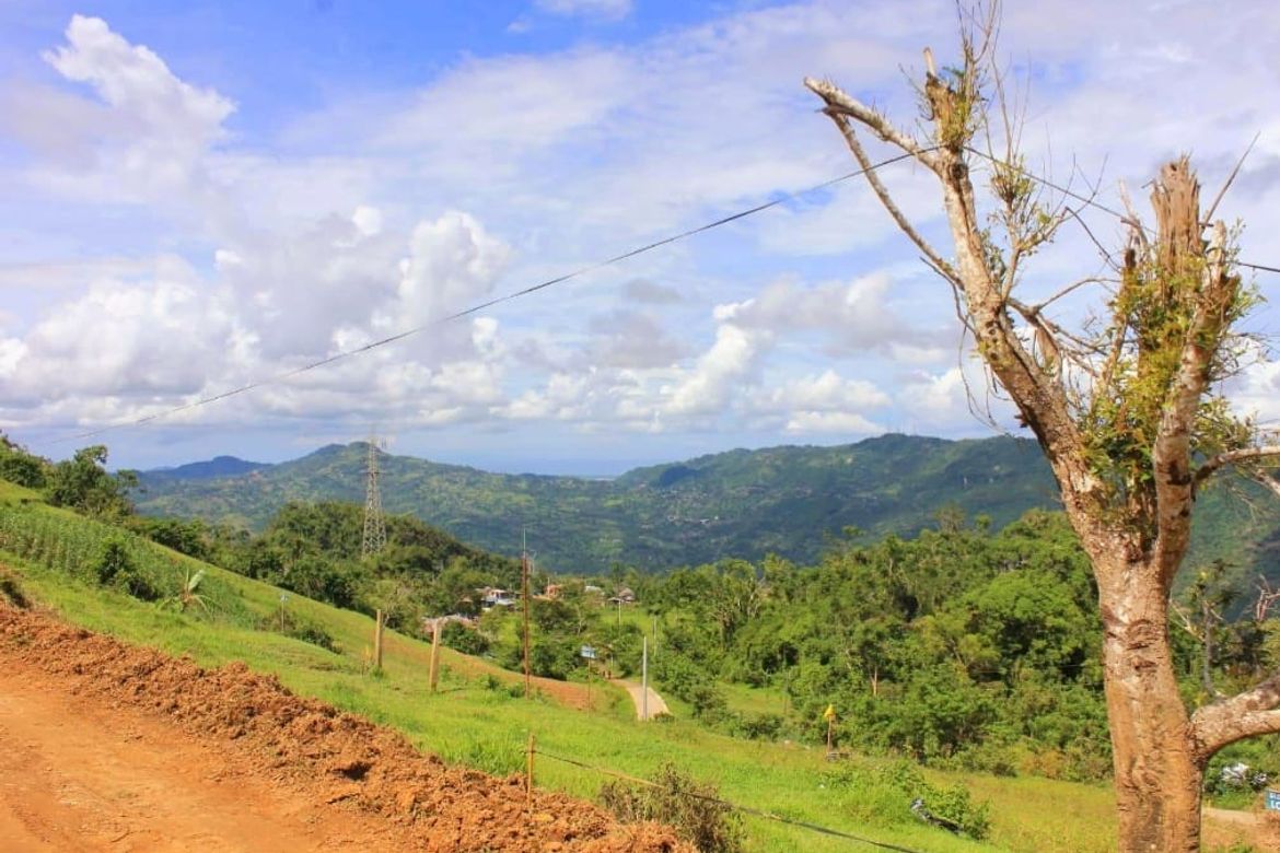 Land for Sale in Lahug, Cebu City, Cebu – photo 8