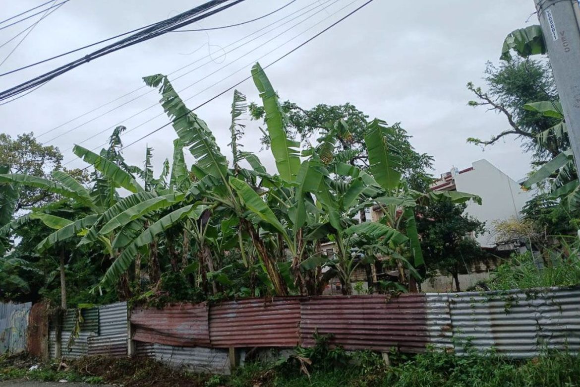Land for Sale in Lahug, Cebu City, Cebu – photo 3