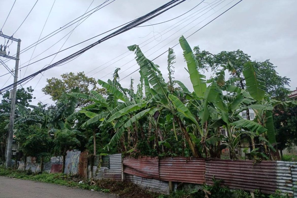 Land for Sale in Lahug, Cebu City, Cebu – photo 4