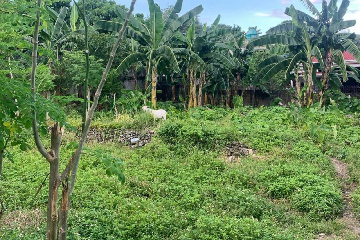 Land for Sale in Lahug, Cebu City, Cebu – photo 7