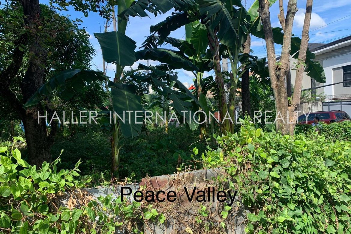 Land for Sale in Lahug, Cebu City, Cebu – photo 3