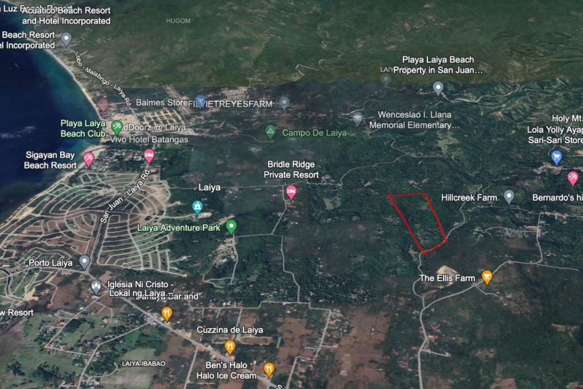Land for Sale in Laiya-Aplaya, San Juan, Batangas – photo 3