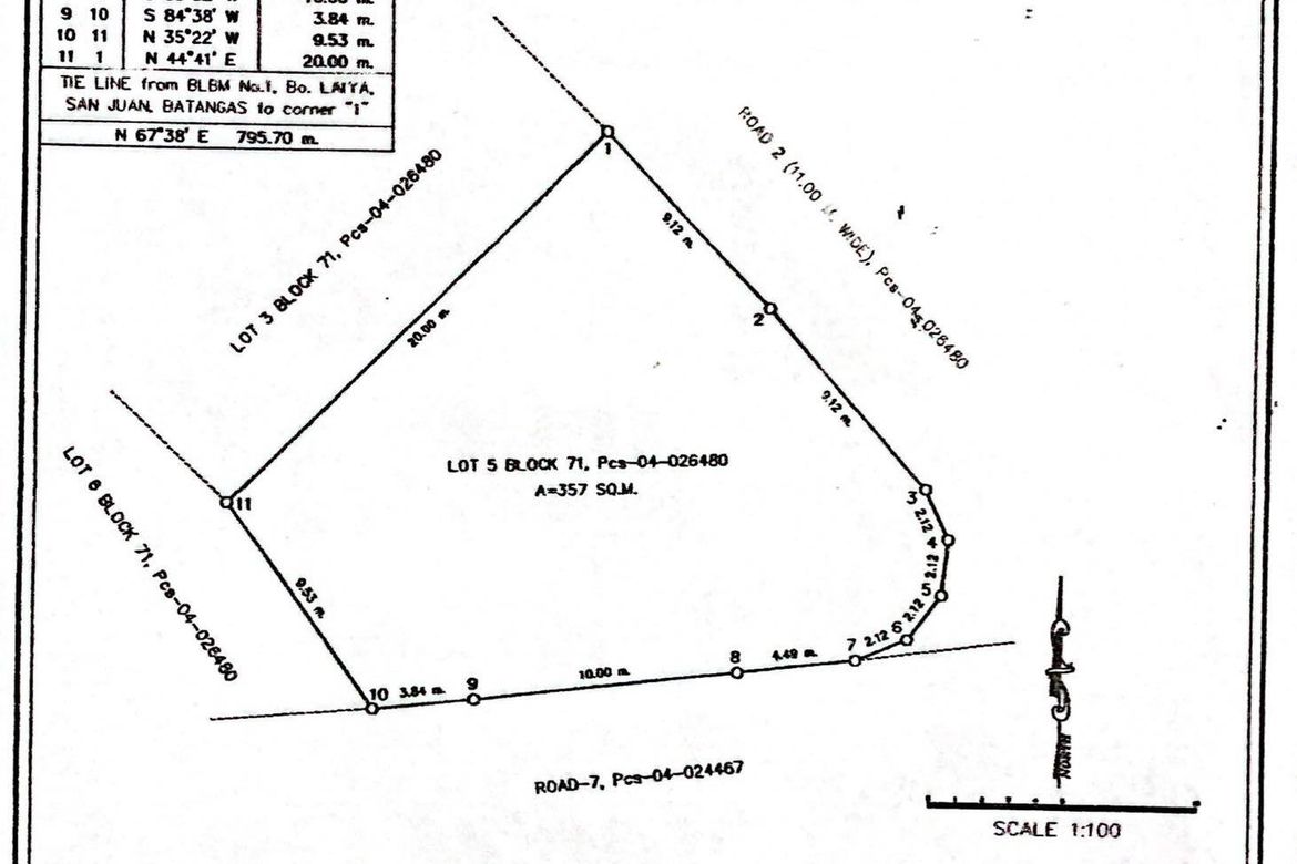 Land for Sale in Laiya-Aplaya, San Juan, Batangas – photo 2