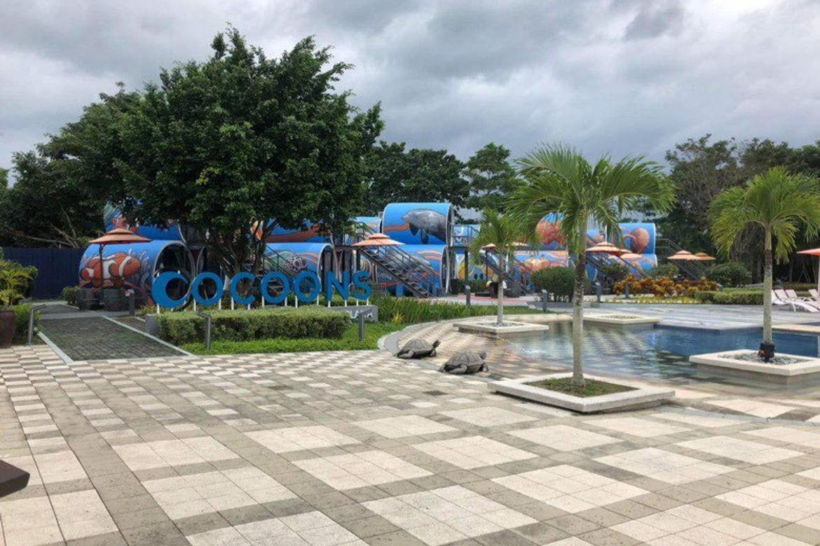 Land for Sale in Laiya-Aplaya, San Juan, Batangas – photo 3