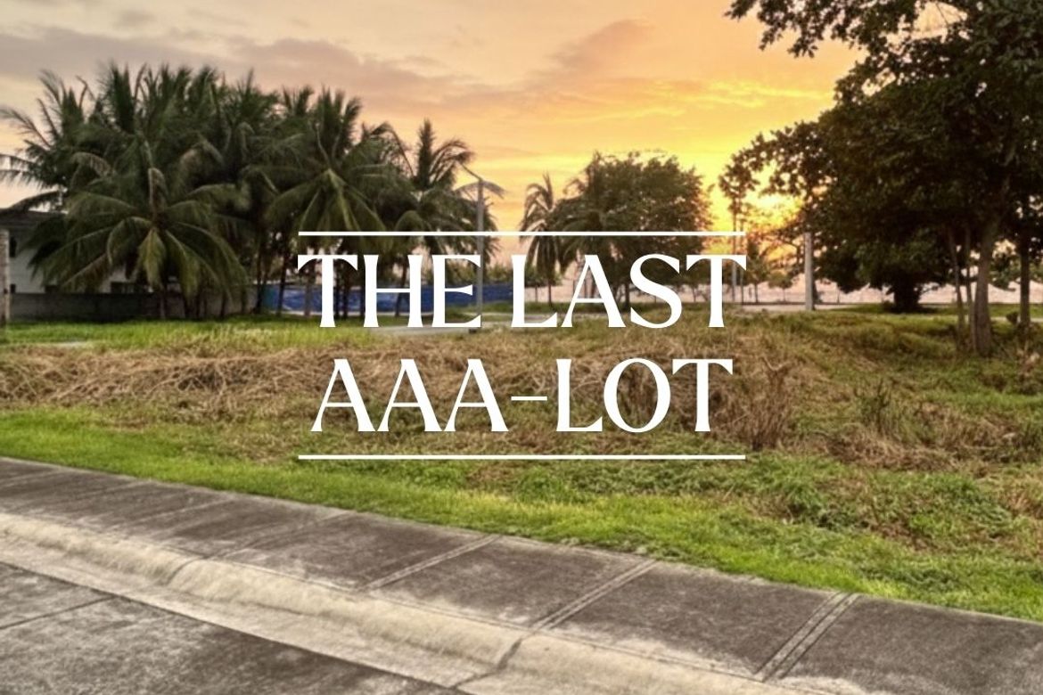 Land for Sale in Laiya-Aplaya, San Juan, Batangas – photo 3