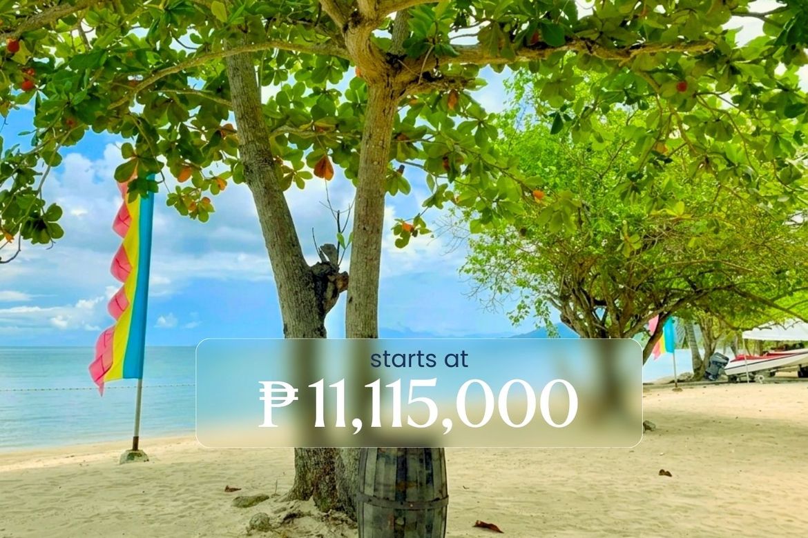 Land for Sale in Laiya-Aplaya, San Juan, Batangas – photo 5