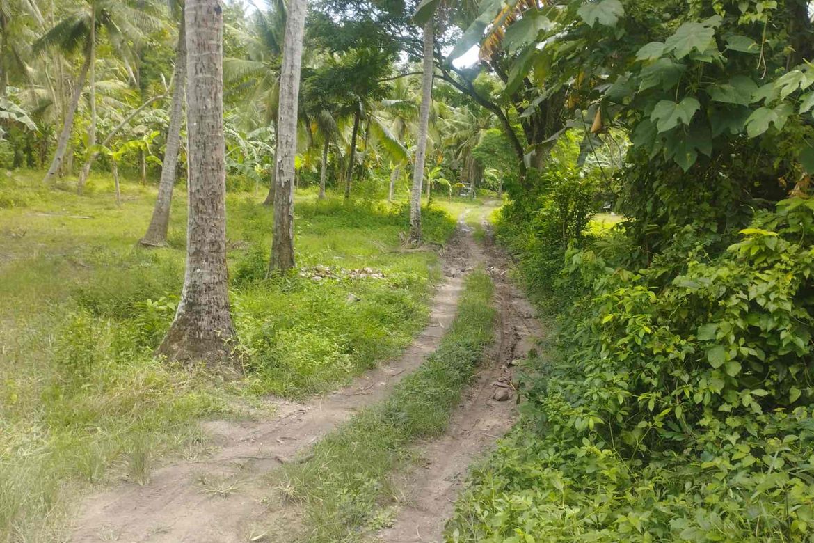 Land for Sale in Laiya-Aplaya, San Juan, Batangas