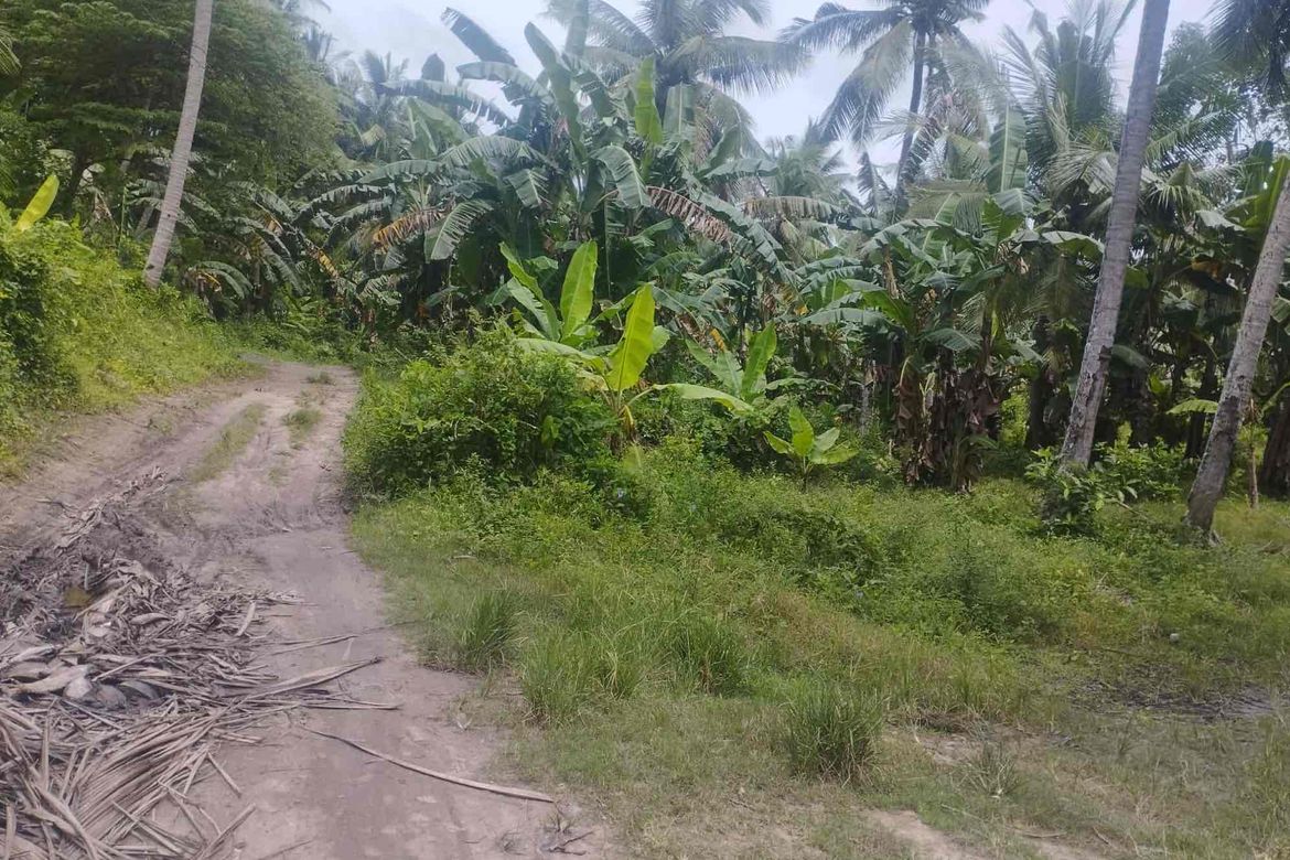 Land for Sale in Laiya-Aplaya, San Juan, Batangas – photo 7