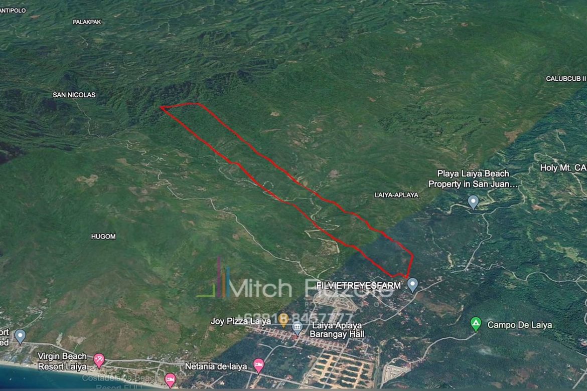 Land for Sale in Laiya-Aplaya, San Juan, Batangas – photo 3