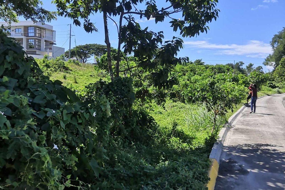 Land for Sale in Laiya-Ibabao, San Juan, Batangas – photo 4