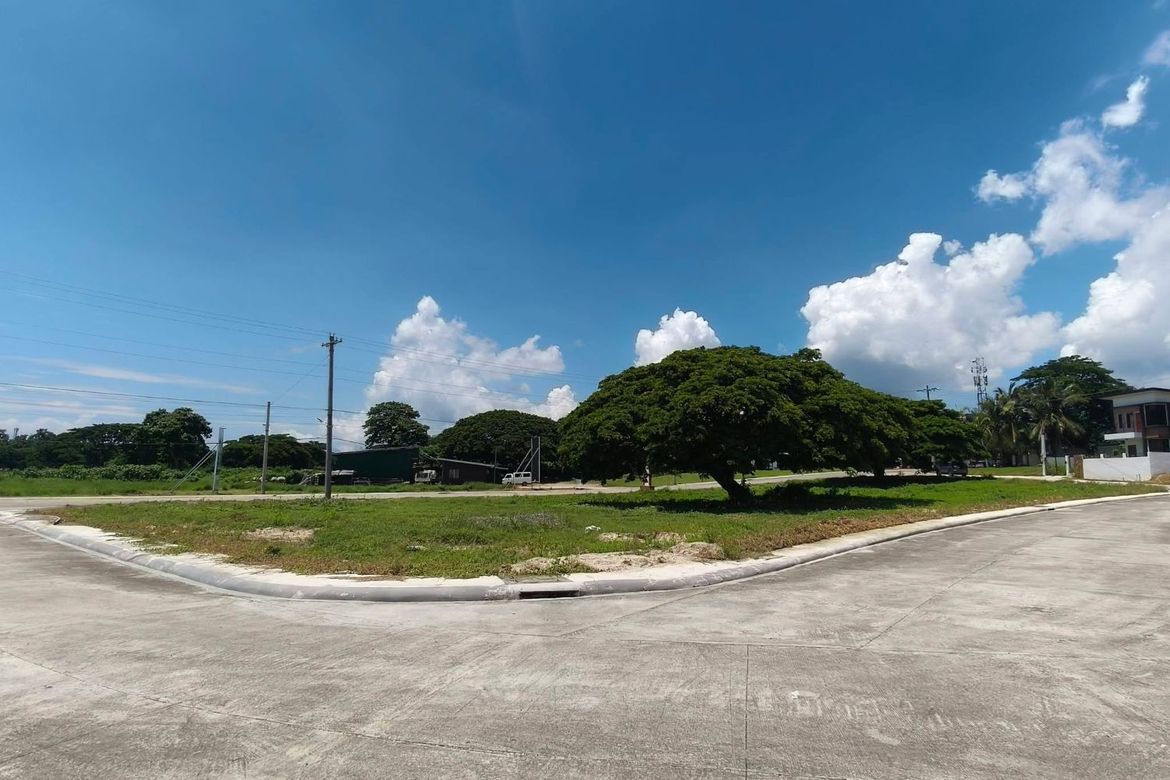 Land for Sale in Laiya-Ibabao, San Juan, Batangas – photo 5
