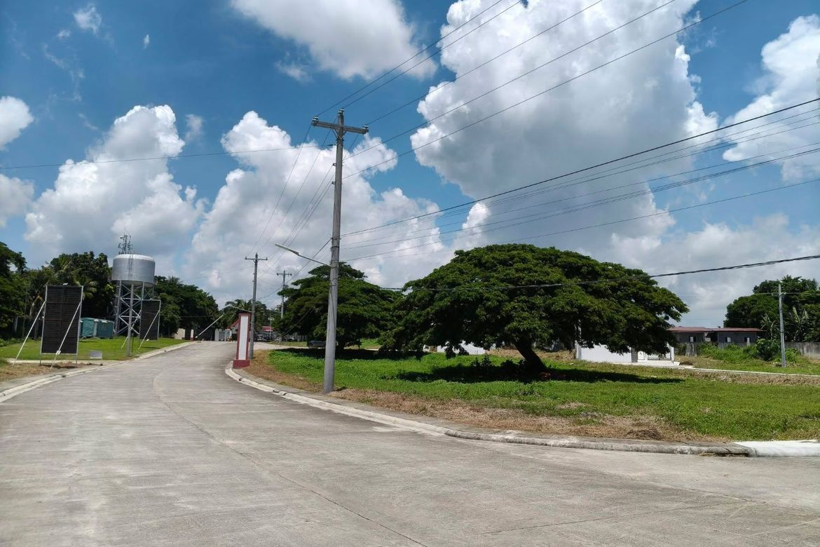 Land for Sale in Laiya-Ibabao, San Juan, Batangas – photo 6