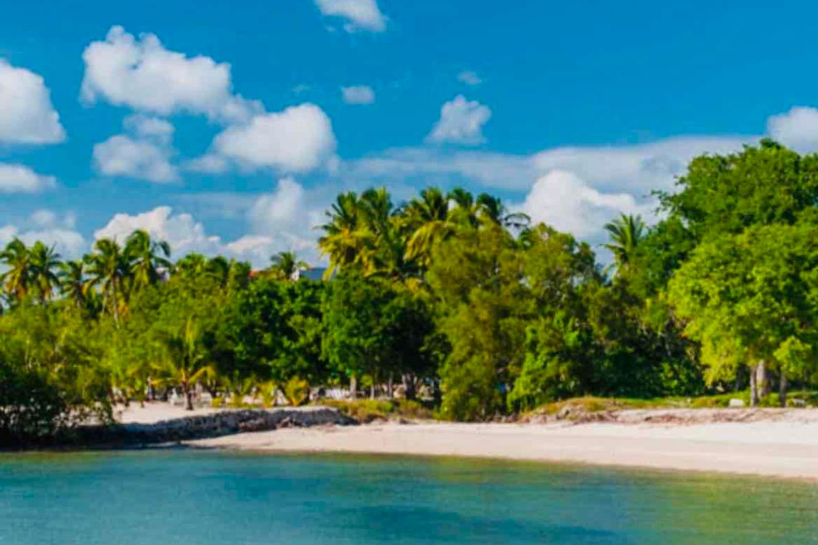 Land for Sale in Laiya-Ibabao, San Juan, Batangas – photo 4