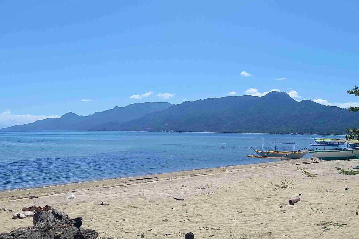 Land for Sale in Laiya-Ibabao, San Juan, Batangas – photo 3