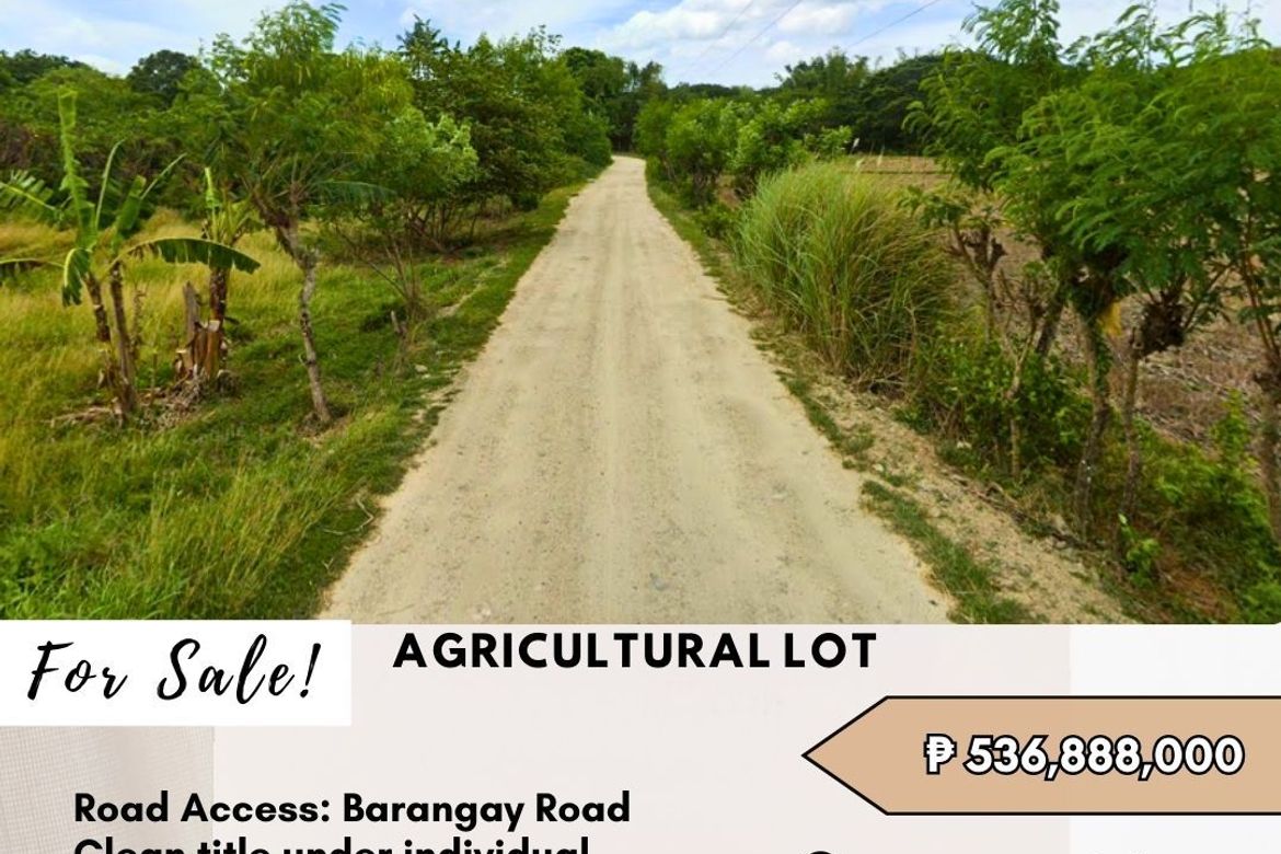 Land for Sale in Laiya-Ibabao, San Juan, Batangas