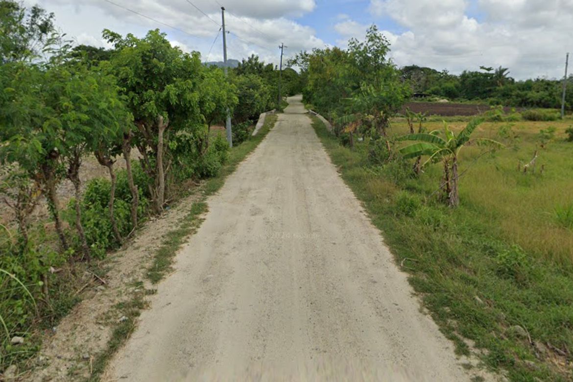Land for Sale in Laiya-Ibabao, San Juan, Batangas – photo 2