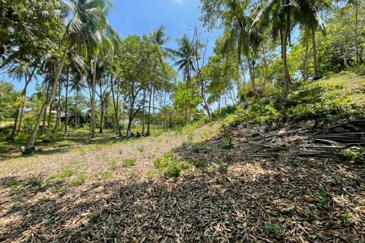 Land for Sale in Lala-O, San Juan, Siquijor