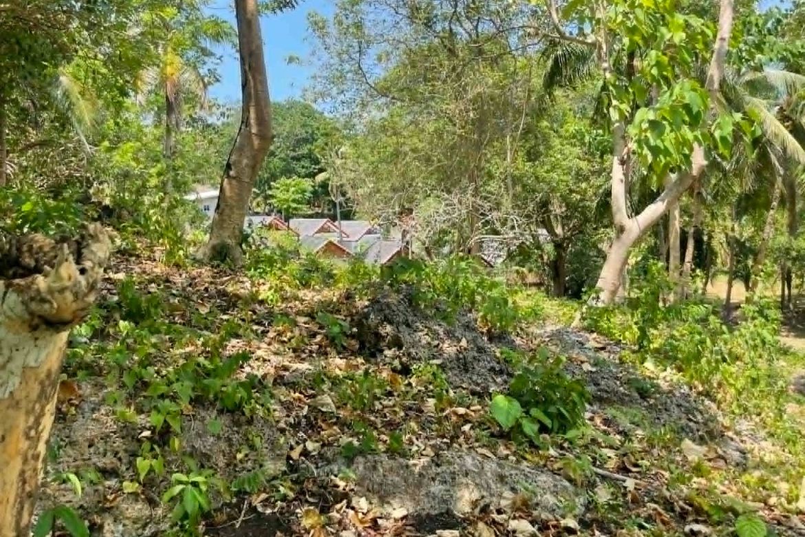 Land for Sale in Lala-O, San Juan, Siquijor – photo 5