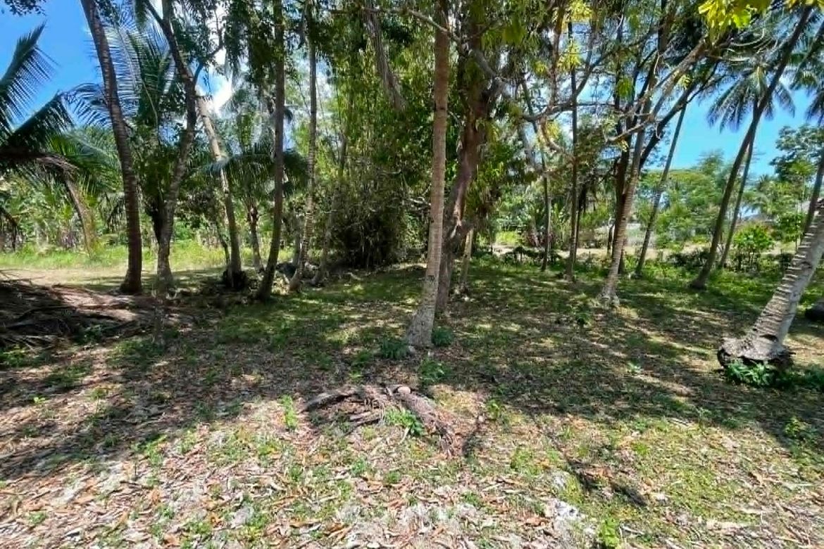 Land for Sale in Lala-O, San Juan, Siquijor – photo 8