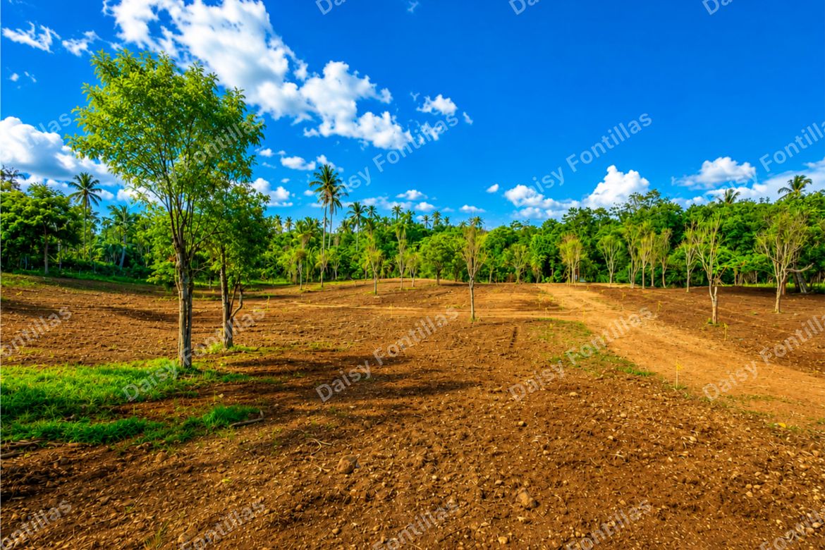 Land for Sale in Lalaan I, Silang, Cavite