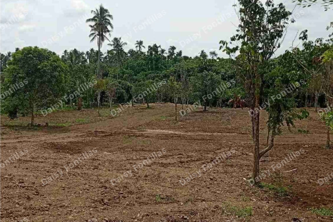 Land for Sale in Lalaan I, Silang, Cavite – photo 2