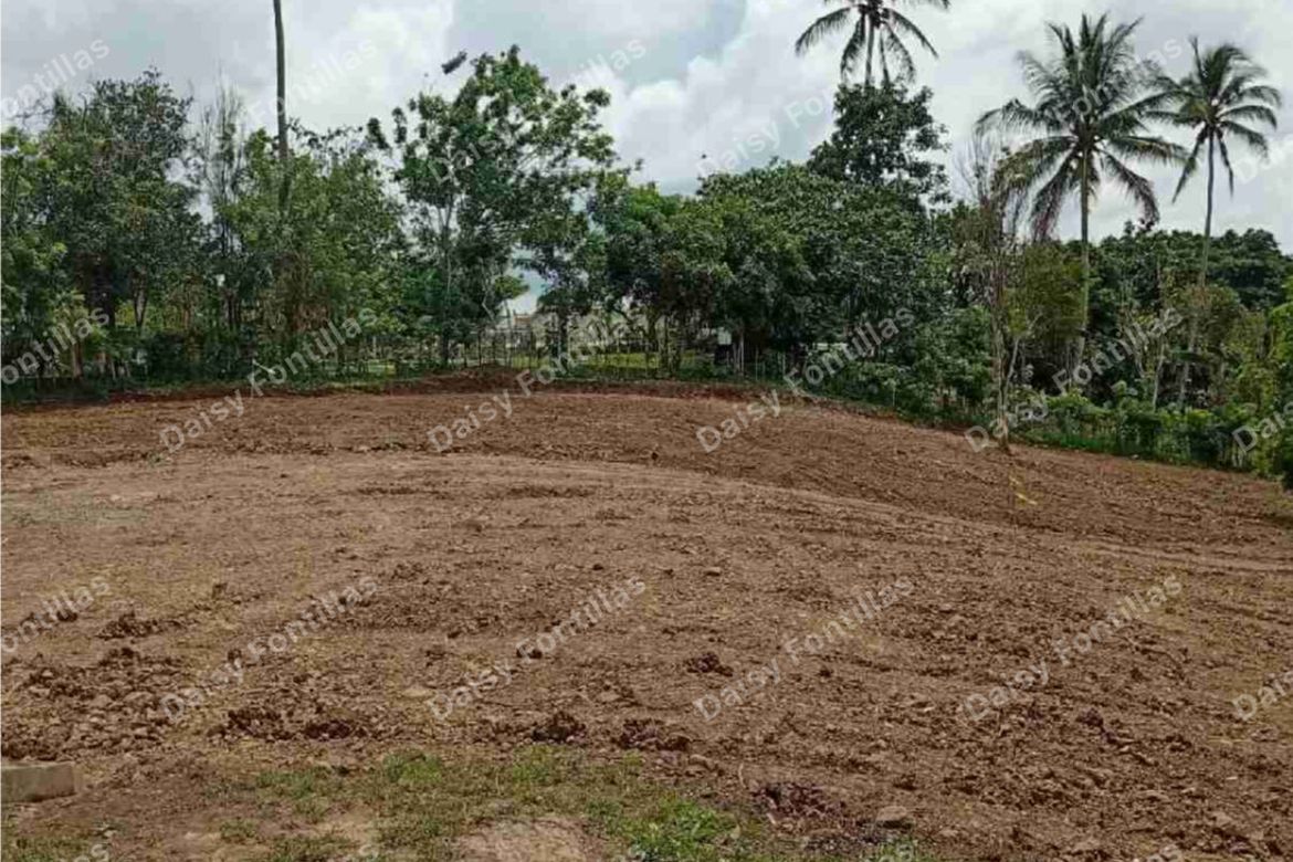 Land for Sale in Lalaan I, Silang, Cavite – photo 3