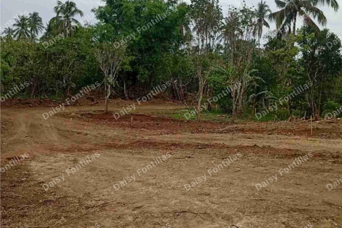 Land for Sale in Lalaan I, Silang, Cavite – photo 4