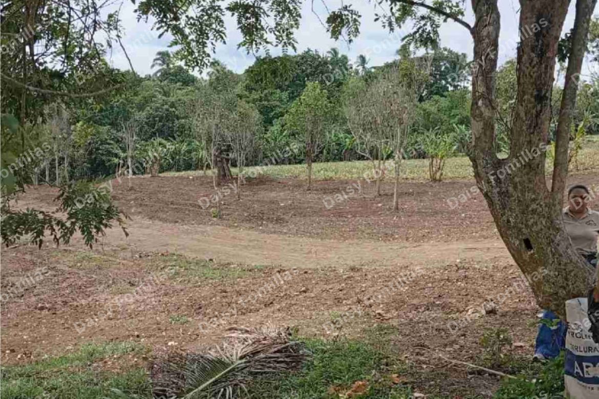 Land for Sale in Lalaan I, Silang, Cavite – photo 5