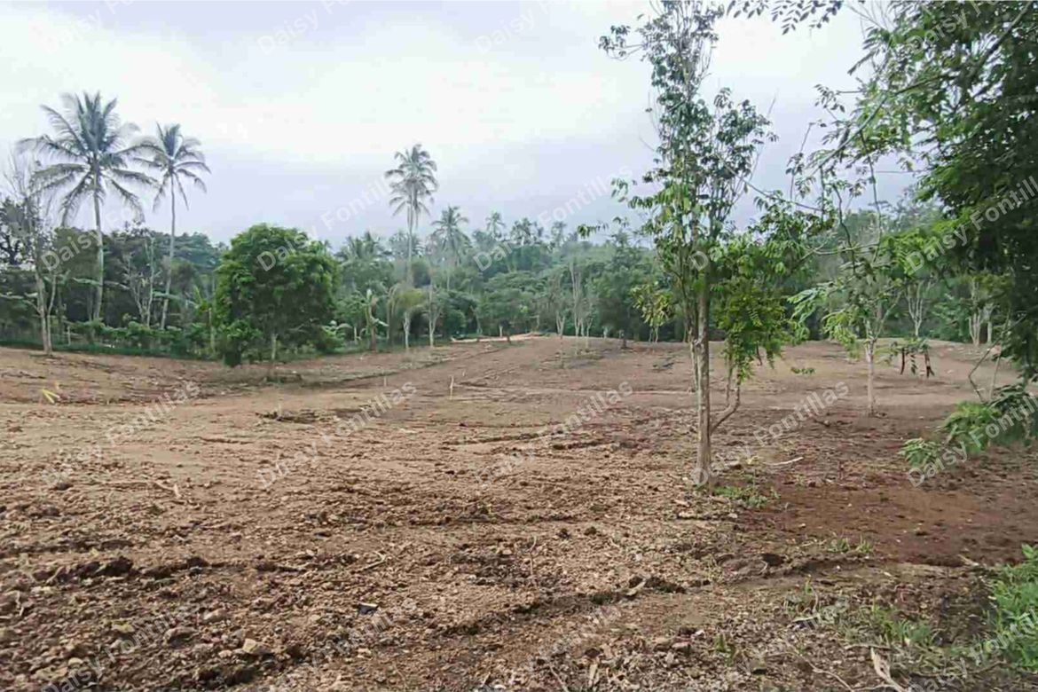 Land for Sale in Lalaan I, Silang, Cavite – photo 6