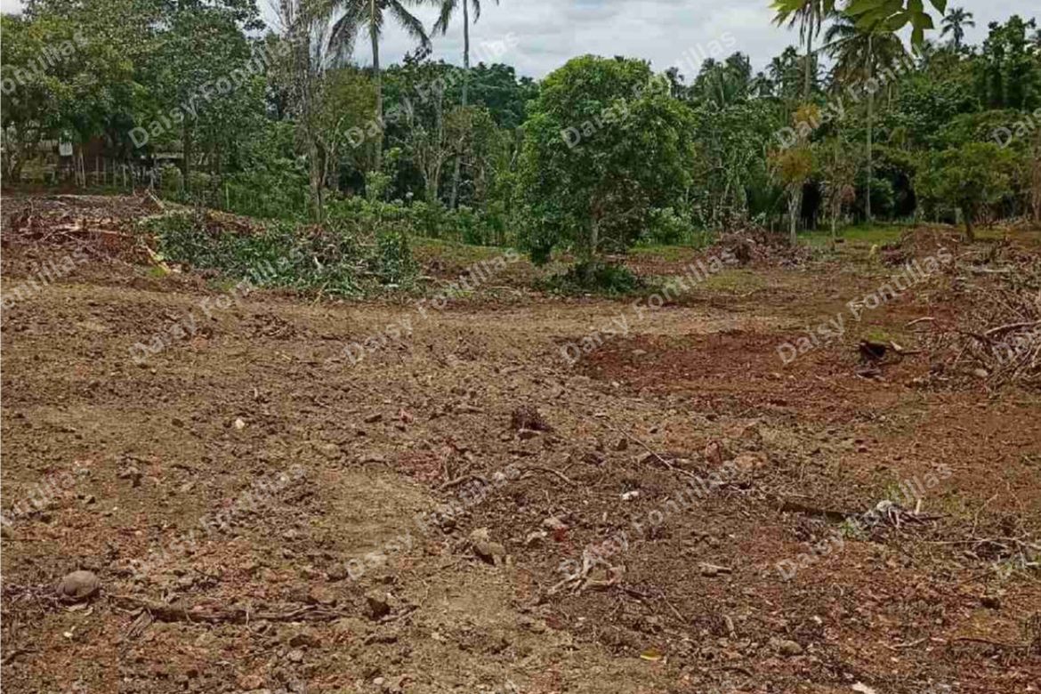 Land for Sale in Lalaan I, Silang, Cavite – photo 7