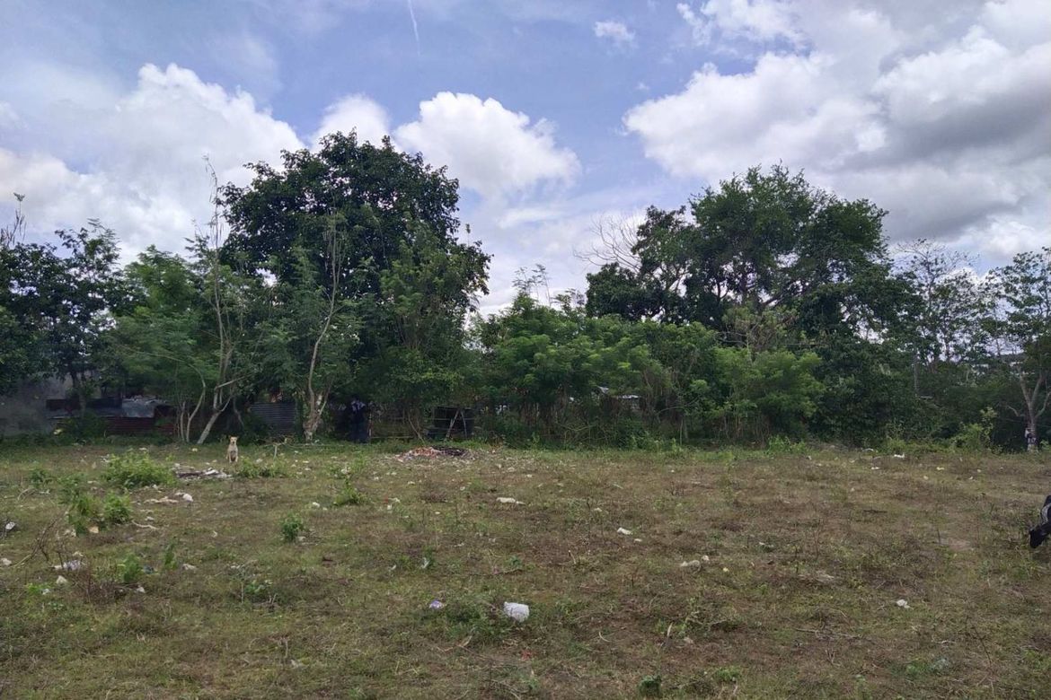 Land for Sale in Lalaan I, Silang, Cavite – photo 2