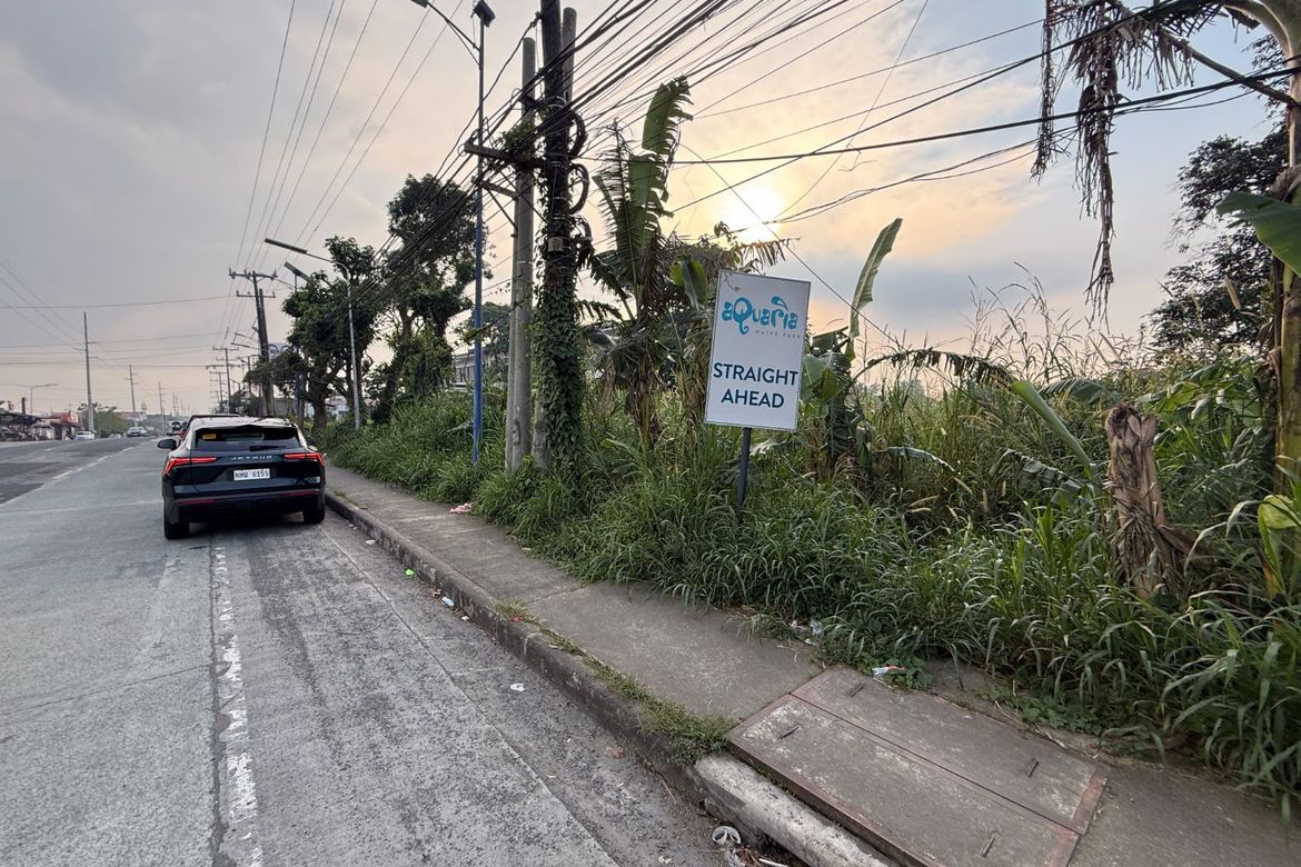 Land for Sale in Lalaan II, Silang, Cavite – photo 3
