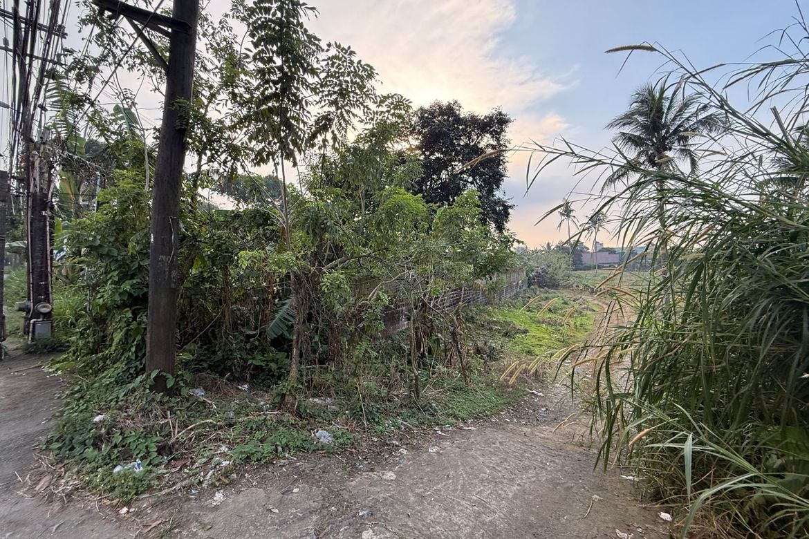 Land for Sale in Lalaan II, Silang, Cavite – photo 4