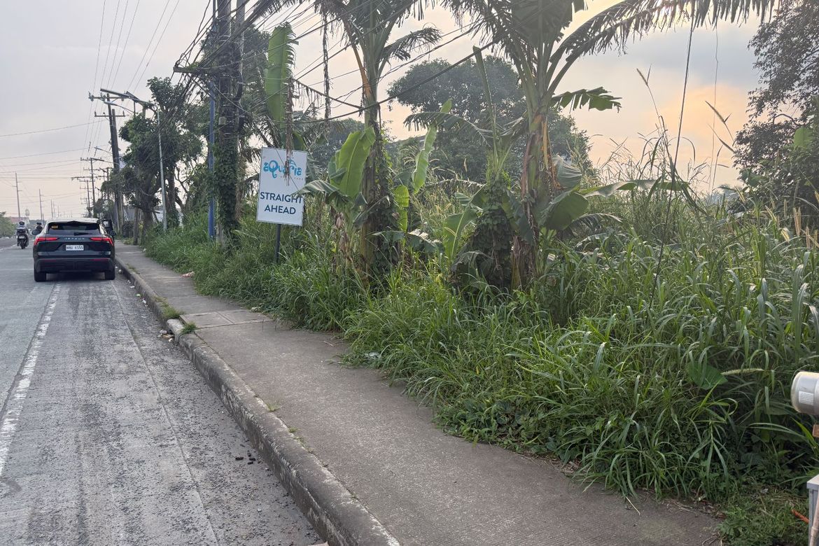 Land for Sale in Lalaan II, Silang, Cavite – photo 5