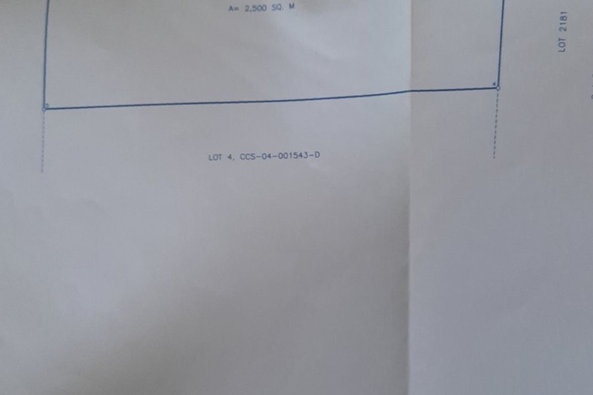 Land for Sale in Lalaan II, Silang, Cavite – photo 6