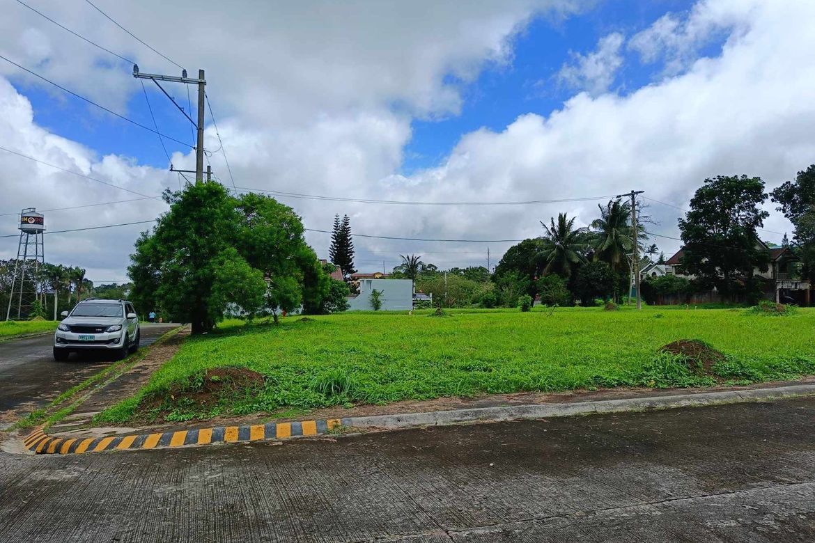 Land for Sale in Lalaan II, Silang, Cavite – photo 2