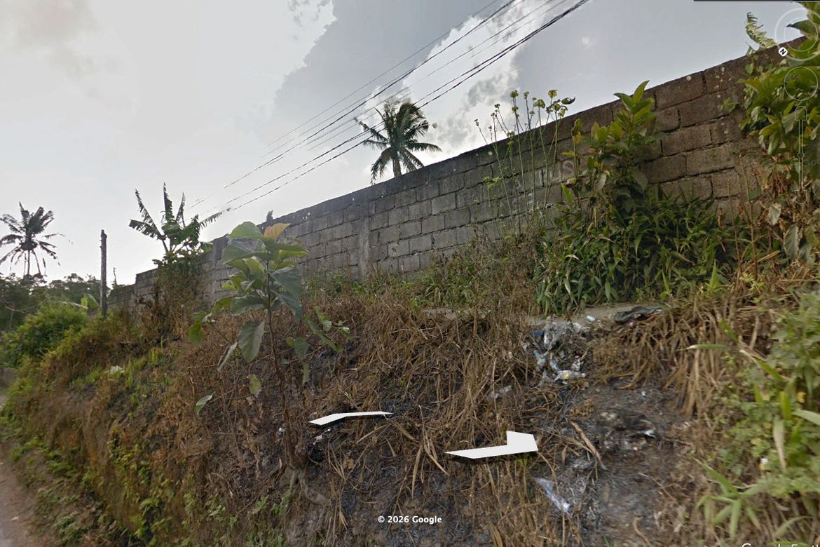 Land for Sale in Lalaan II, Silang, Cavite – photo 2