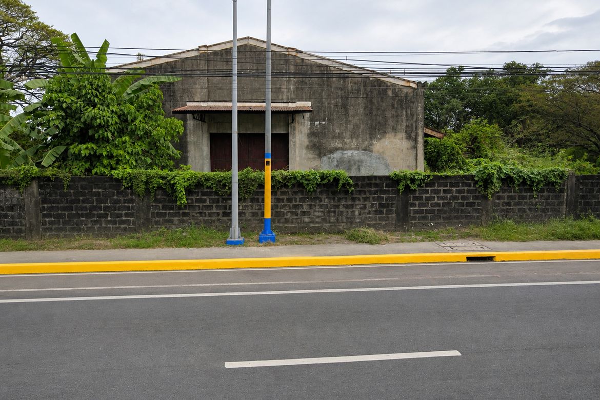 Land for Sale in Lalaan II, Silang, Cavite – photo 3
