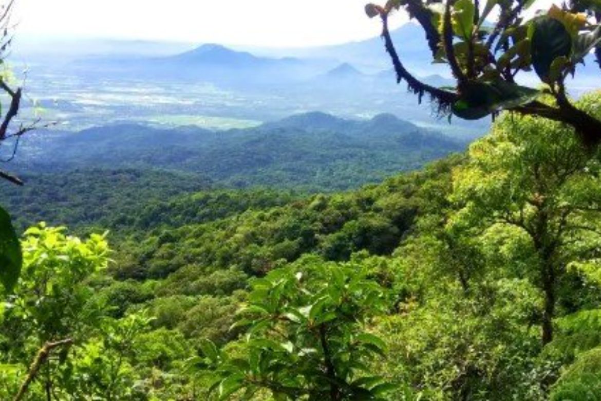 Land for Sale in Lalakay, Los Baños, Laguna