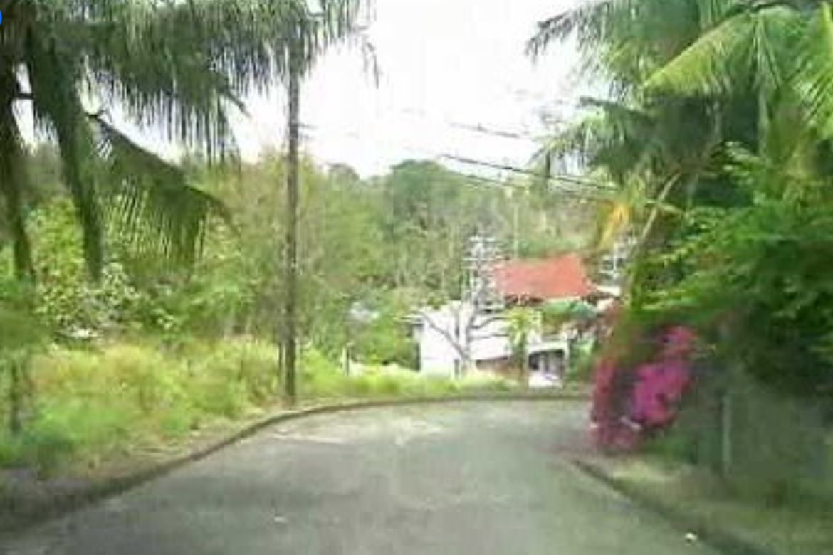 Land for Sale in Lalakay, Los Baños, Laguna – photo 3