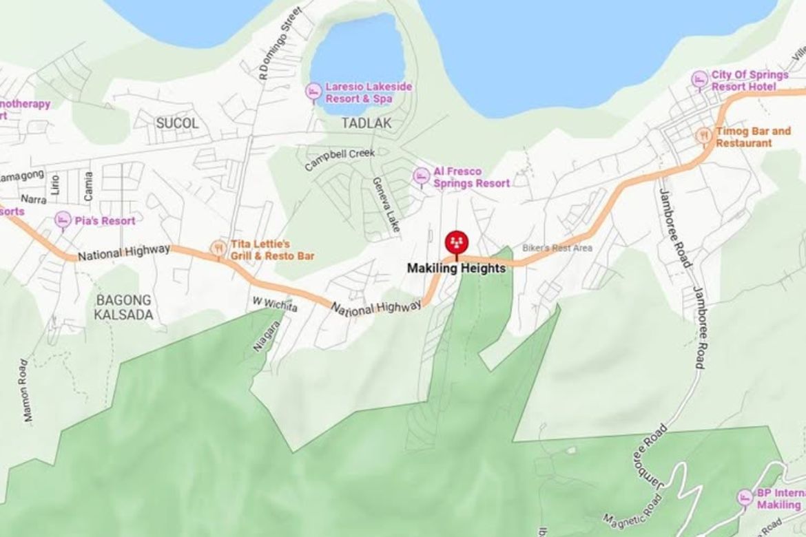 Land for Sale in Lalakay, Los Baños, Laguna – photo 6