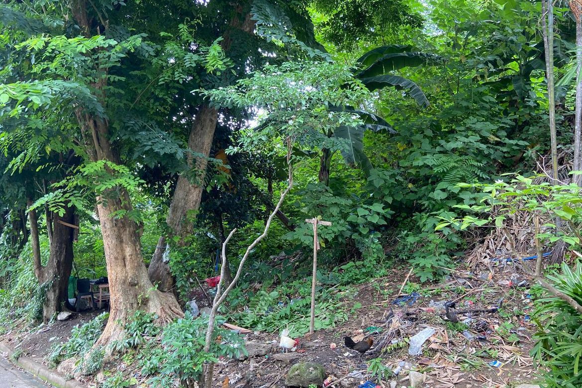 Land for Sale in Lalakay, Los Baños, Laguna – photo 7