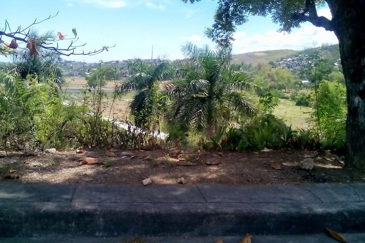 Land for Sale in Lamac, Consolacion, Cebu – photo 7