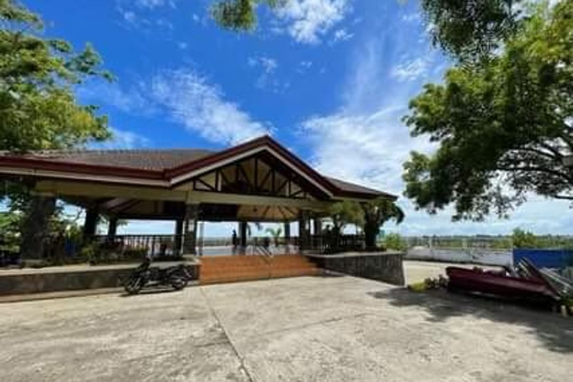 Land for Sale in Lamac, Consolacion, Cebu – photo 5