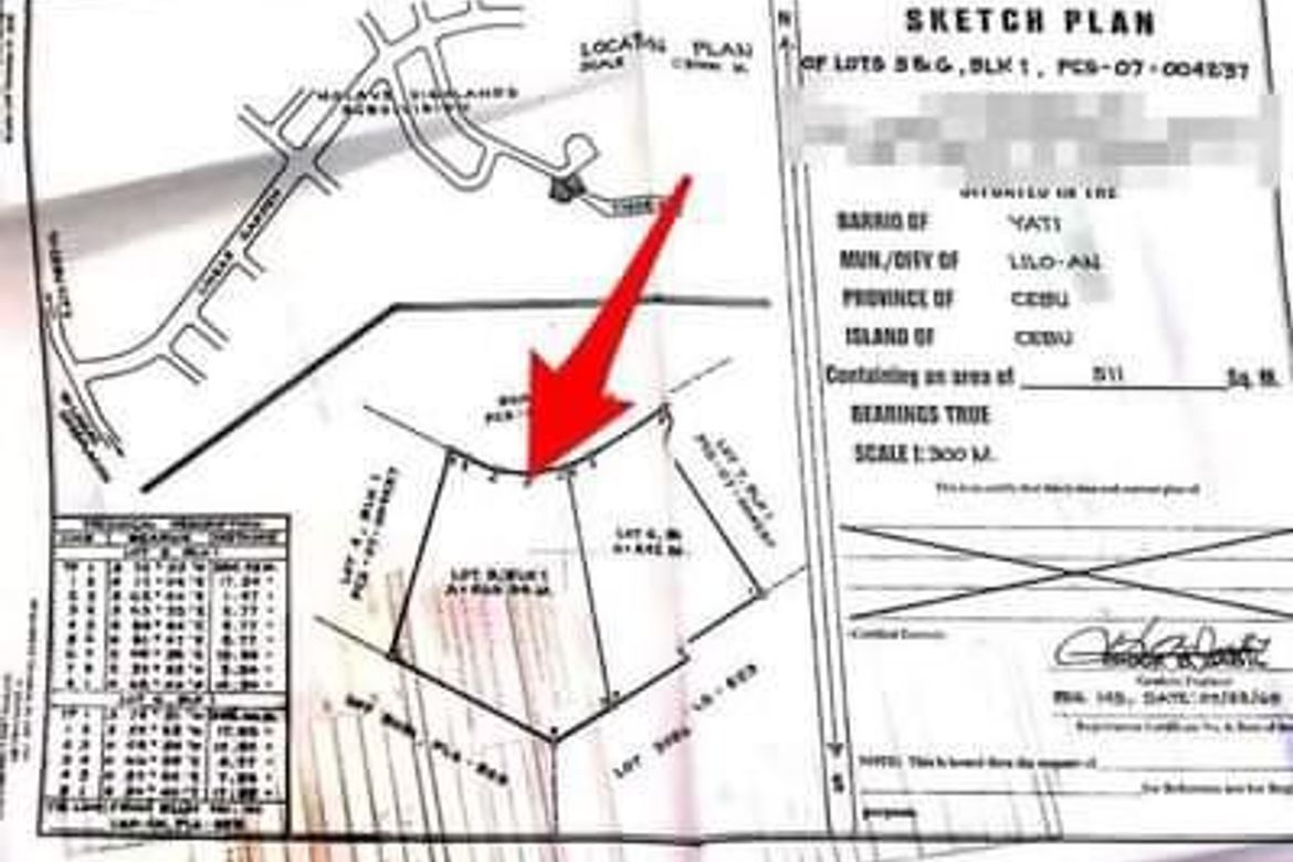 Land for Sale in Lamac, Consolacion, Cebu – photo 6