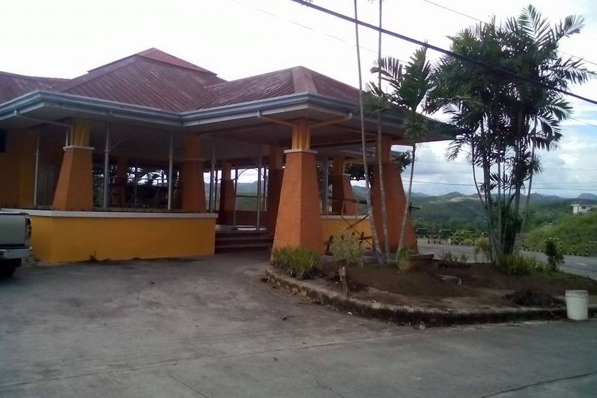 Land for Sale in Lamac, Consolacion, Cebu – photo 4