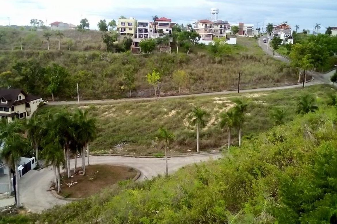 Land for Sale in Lamac, Consolacion, Cebu – photo 7