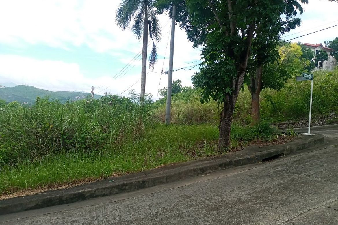 Land for Sale in Lamac, Consolacion, Cebu