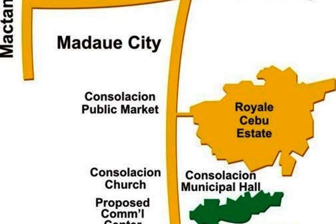 Land for Sale in Lamac, Consolacion, Cebu – photo 8