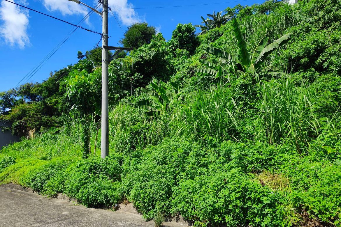 Land for Sale in Lamac, Consolacion, Cebu – photo 2